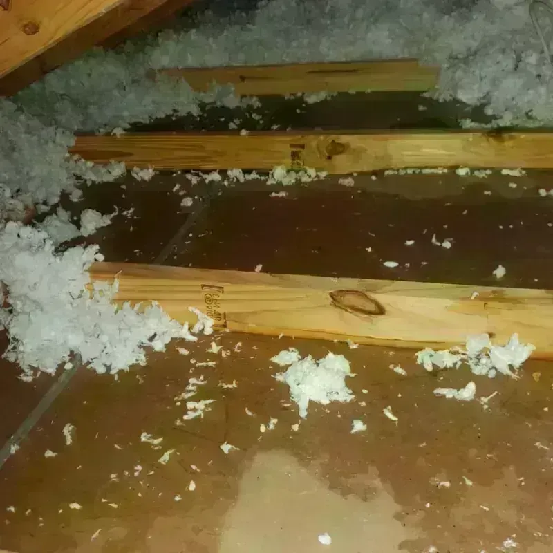 Attic Water Damage in Oxoboxo River, CT